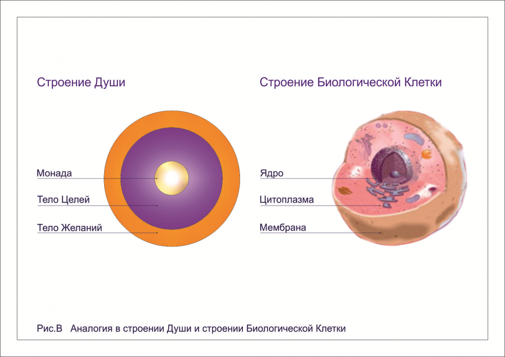 к докладу Гульсинэ 5/10