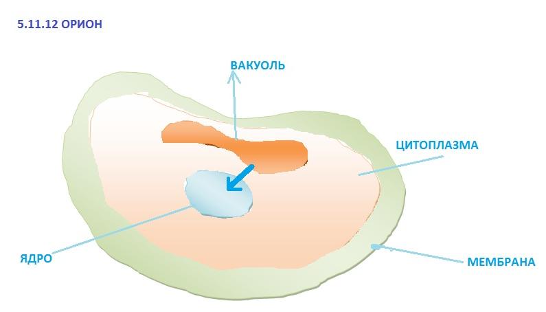 5-11-2012-Орион_02.1.jpg