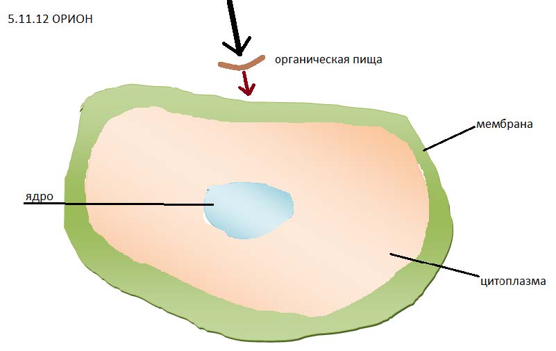 5-11-2012-Орион_01.jpg
